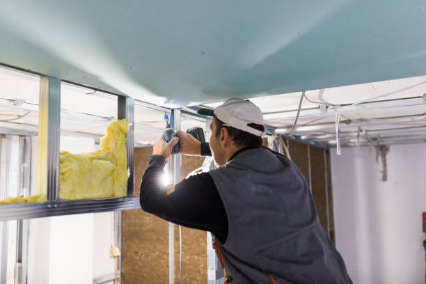 Best Insulation Maintenance and Repair in Haven, KS