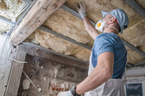 Best DIY Insulation Kits and Guidance in Haven, KS