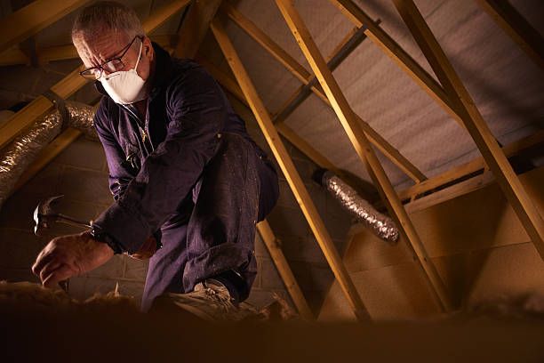 Professional Insulation Contractor in Haven, KS